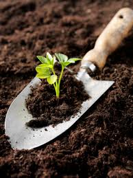 garden soil testing