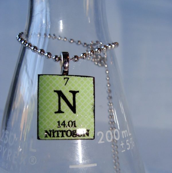 How does Nitrogen Help Plants Grow? Phoslab How does Nitrogen Help Plants Grow? Phoslab