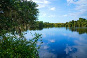 florida surface water river lake